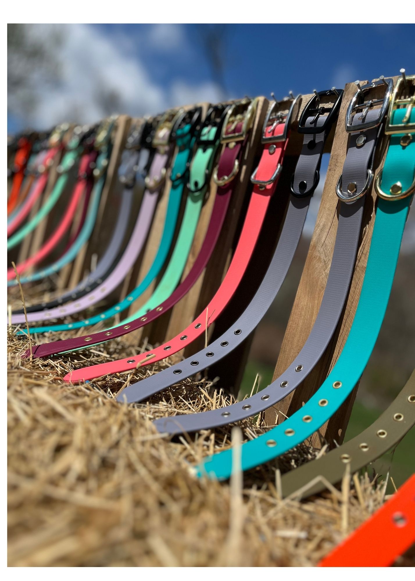 DIY Box- First Gen Dog Collars