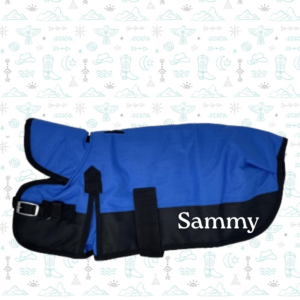 Waterproof 150g Hooded Dog Blanket