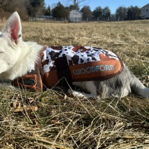 Waterproof 200g Dog Blanket