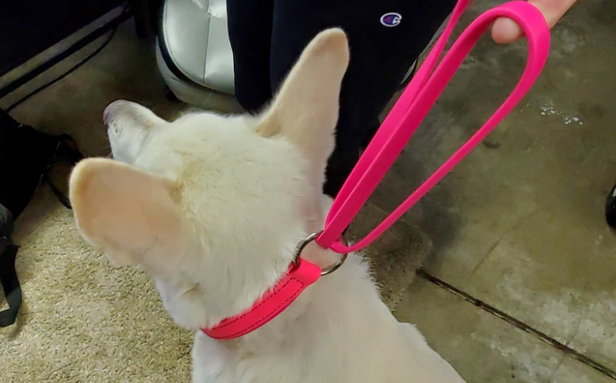 Screenshot 2026-01-17 104807