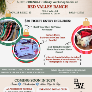 Holiday Workshop Social Dec. 19, 2026
